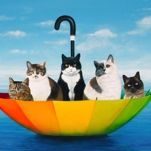 Meet your Posher, Judie